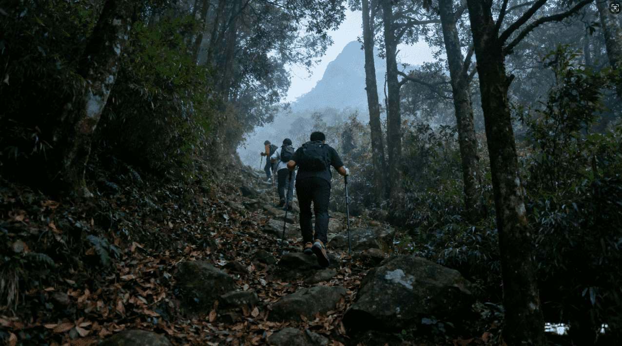 暴喵加速器下载安装教程详细攻略指南